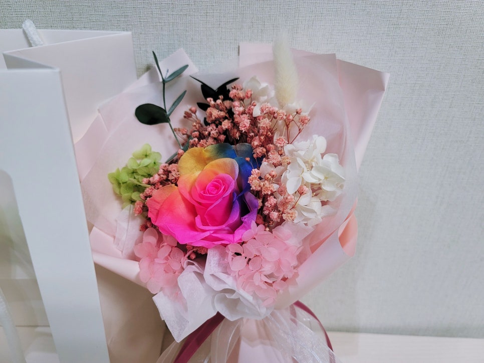 컨브리오 이미지