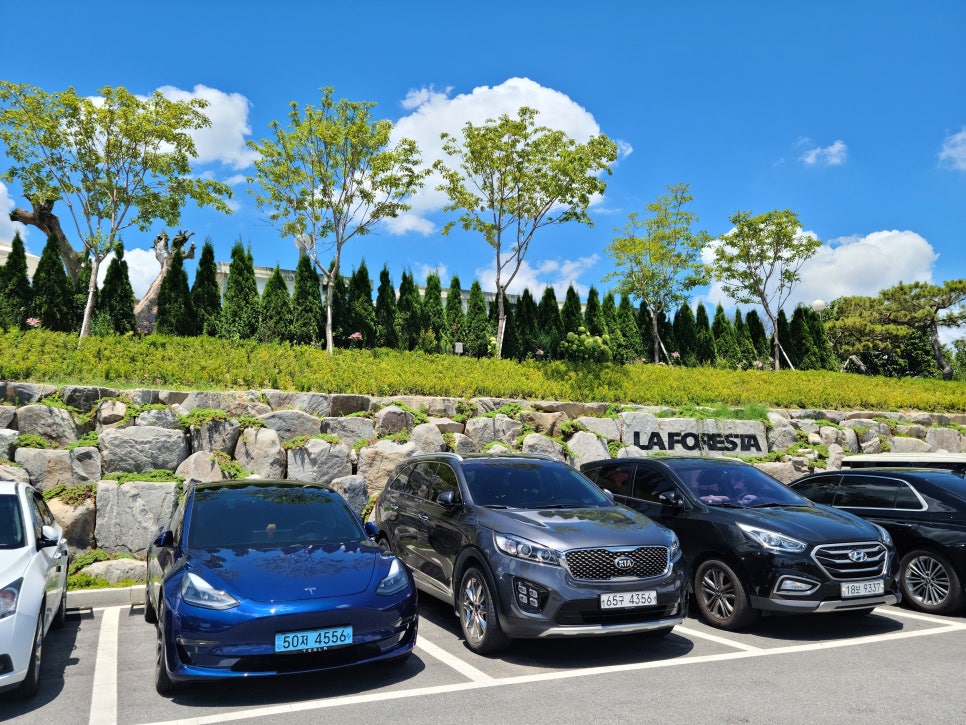 LAFORESTA(라포레스타) 이미지