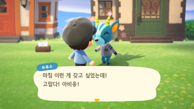 브루스템 이미지