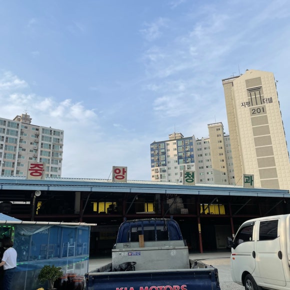충북청과 이미지