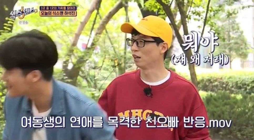 로코식스 이미지