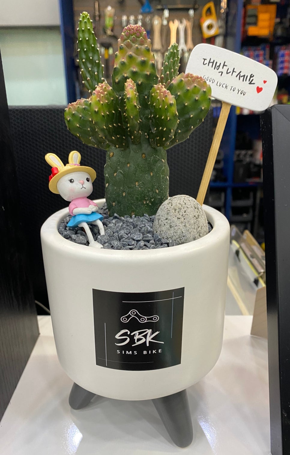 심즈바이크 이미지