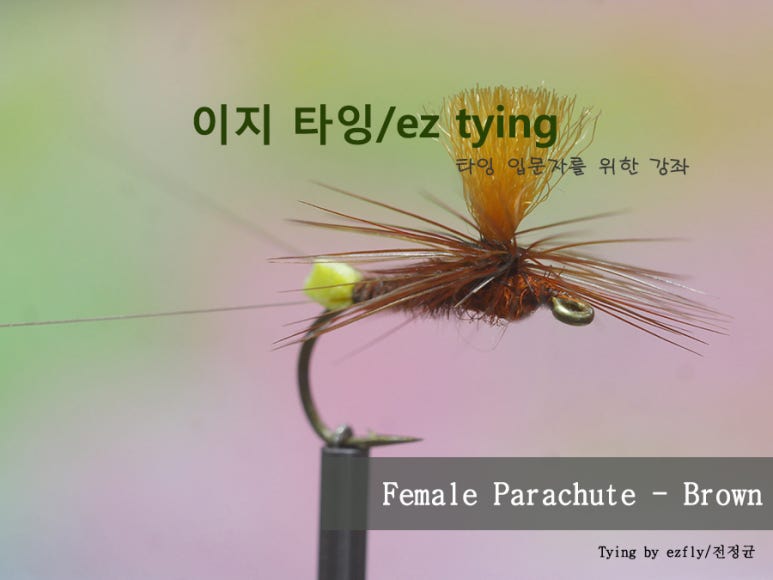 이지플라이 이미지
