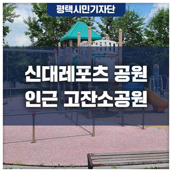 하나레포츠 이미지