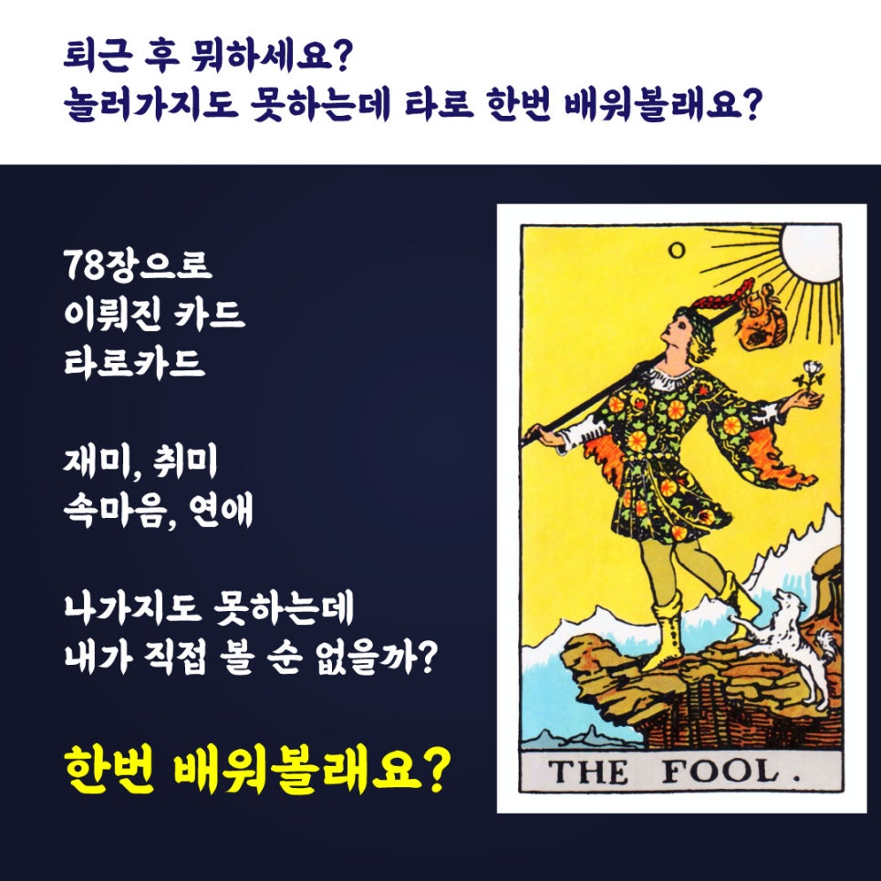 단델리온커리어 이미지