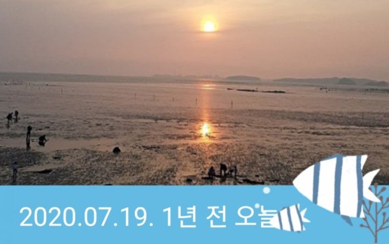 서천바닷가갯벌펜션 이미지