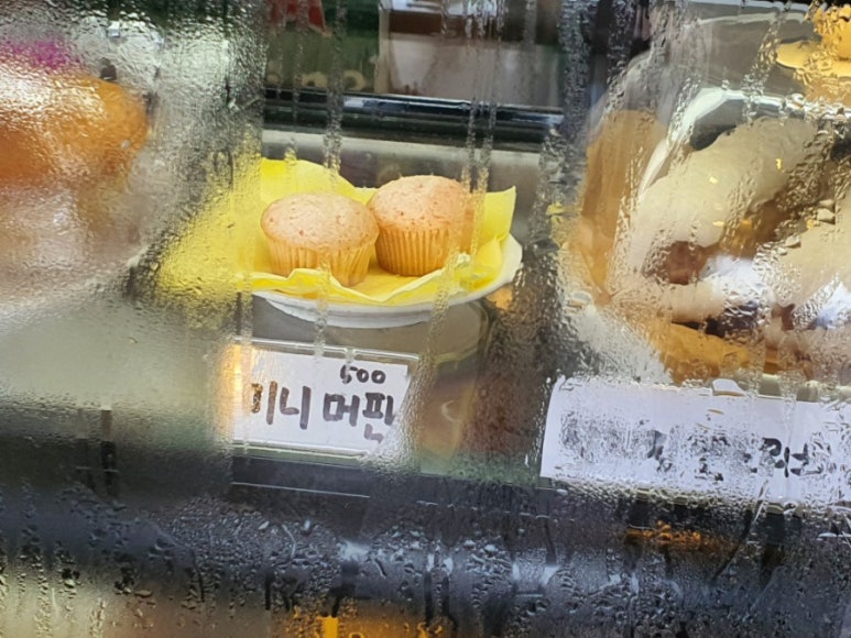 스테이지알 이미지