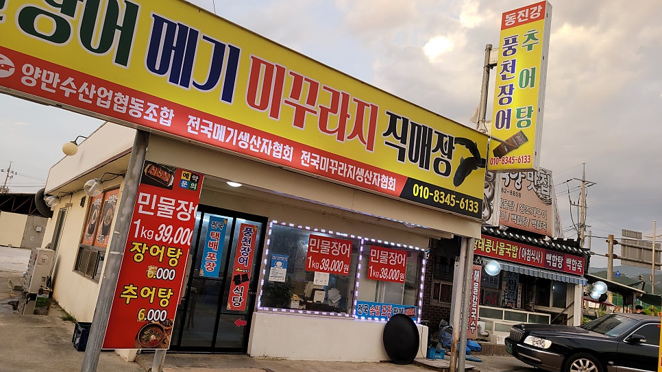 동진강민물장어 이미지