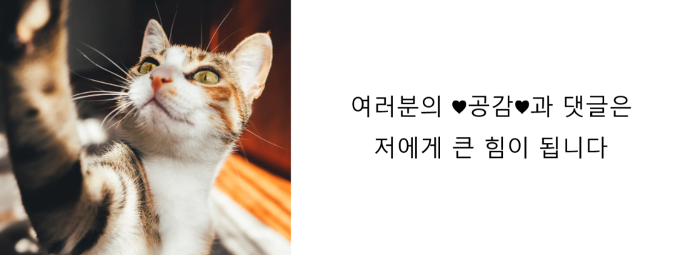 육식러 이미지