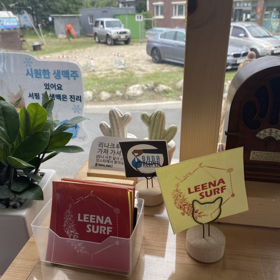 리나서프 이미지