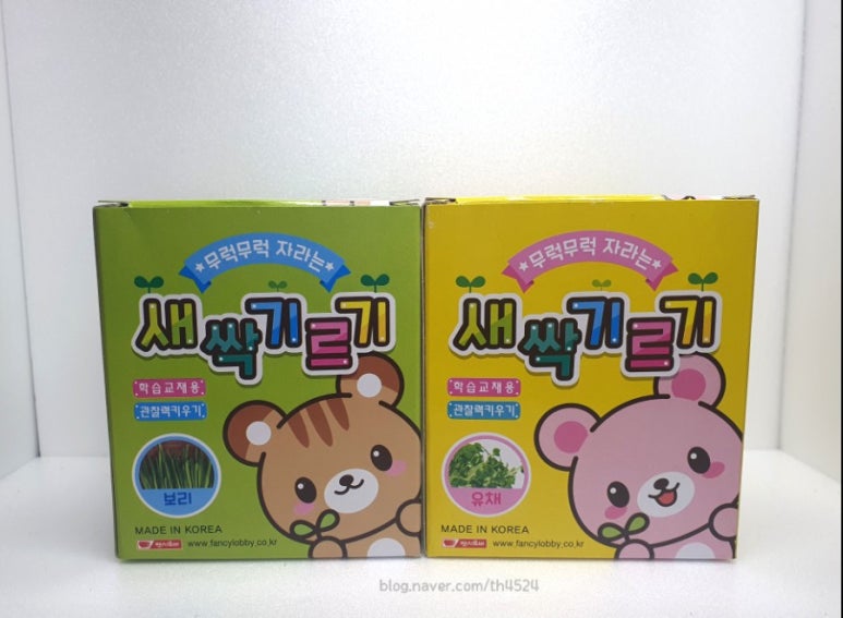 솔이기획 이미지