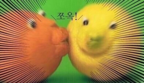 심심이 (주) 이미지