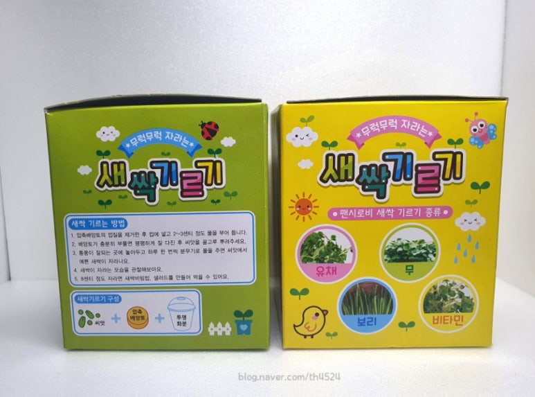 솔이기획 이미지
