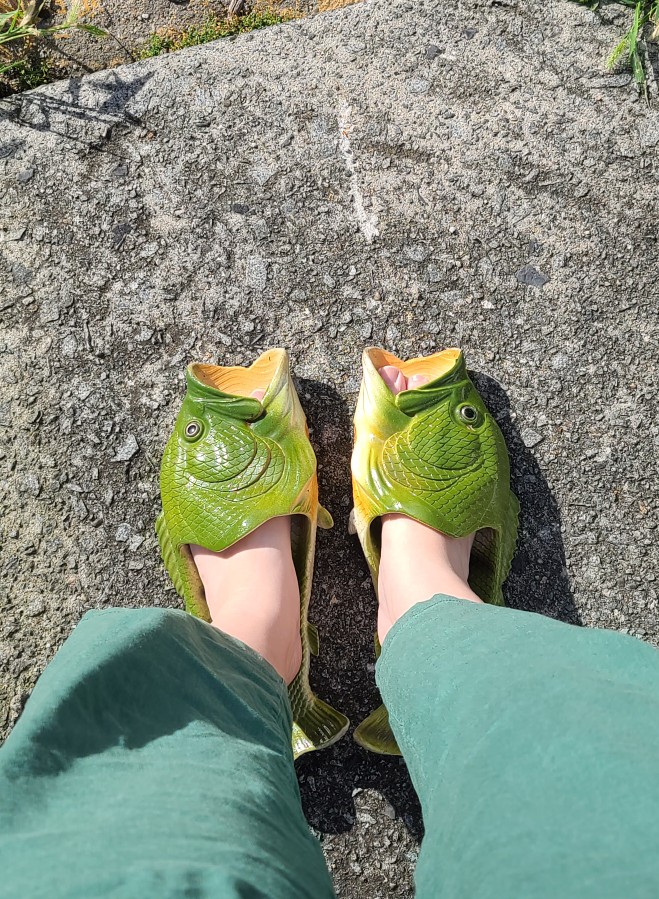 오배수산 이미지