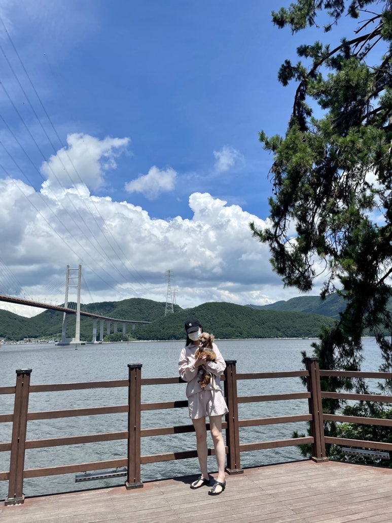 선희채소 이미지