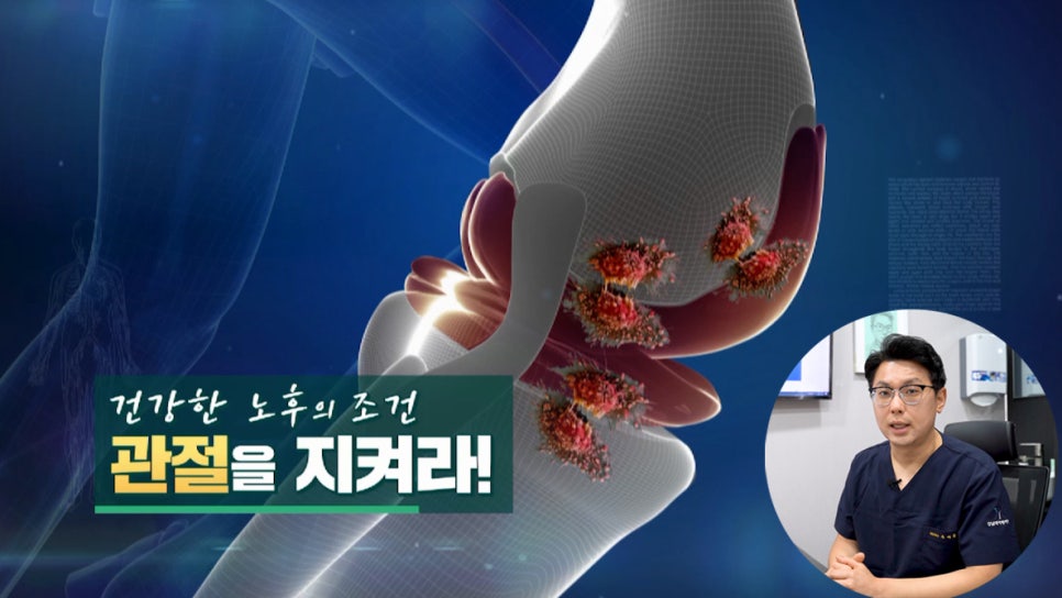 YK정보 이미지