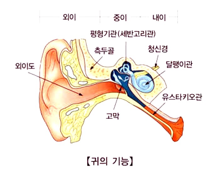 네일;지우 이미지