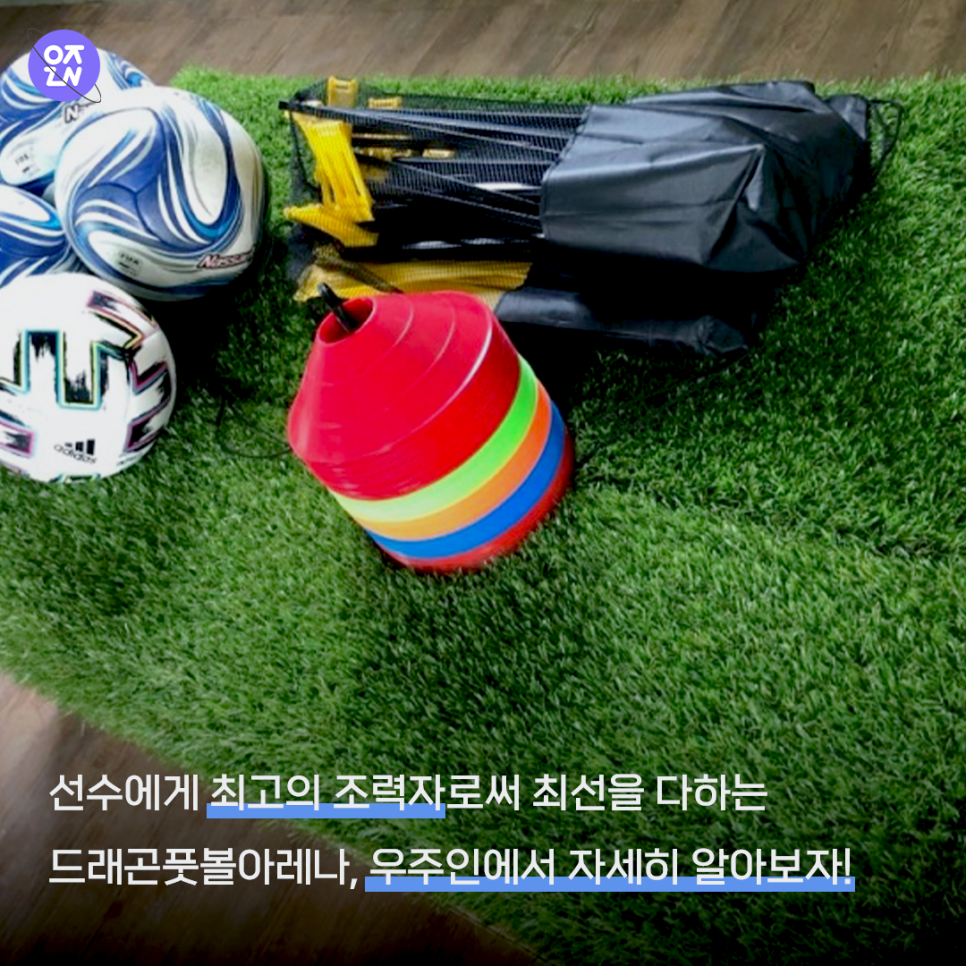 드레곤 스포츠 이미지