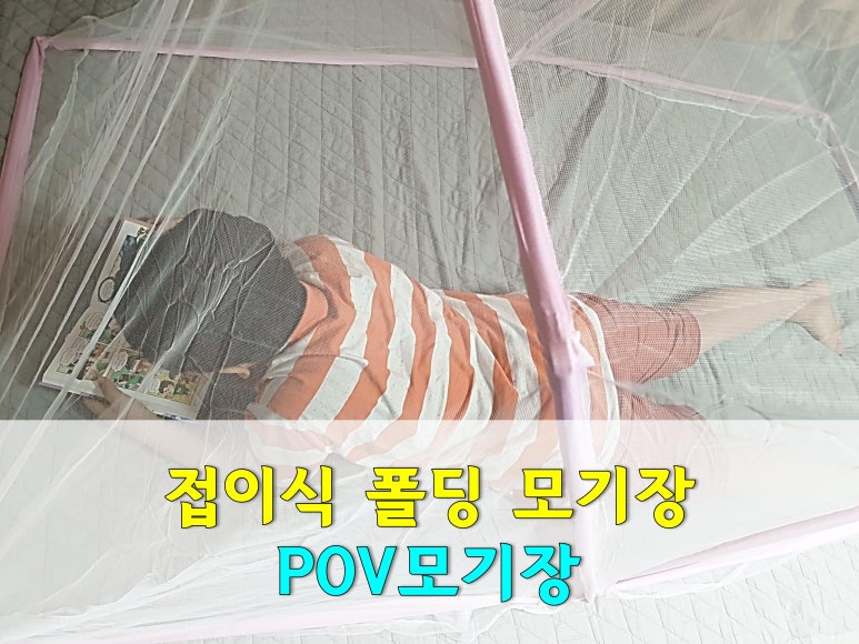 포브컴퍼니 이미지