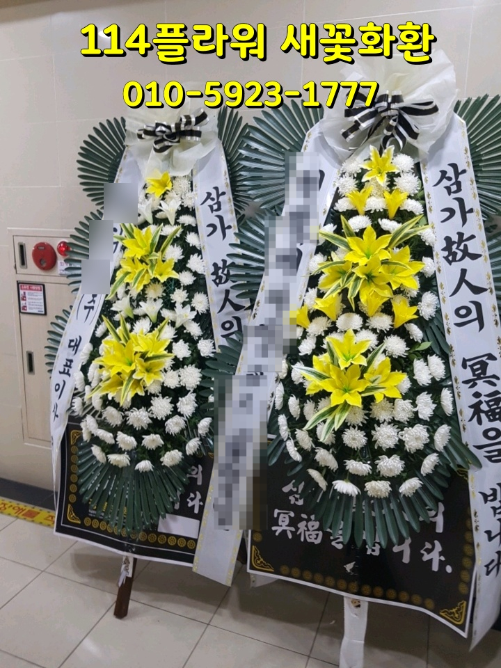 광주정품화환배달 이미지
