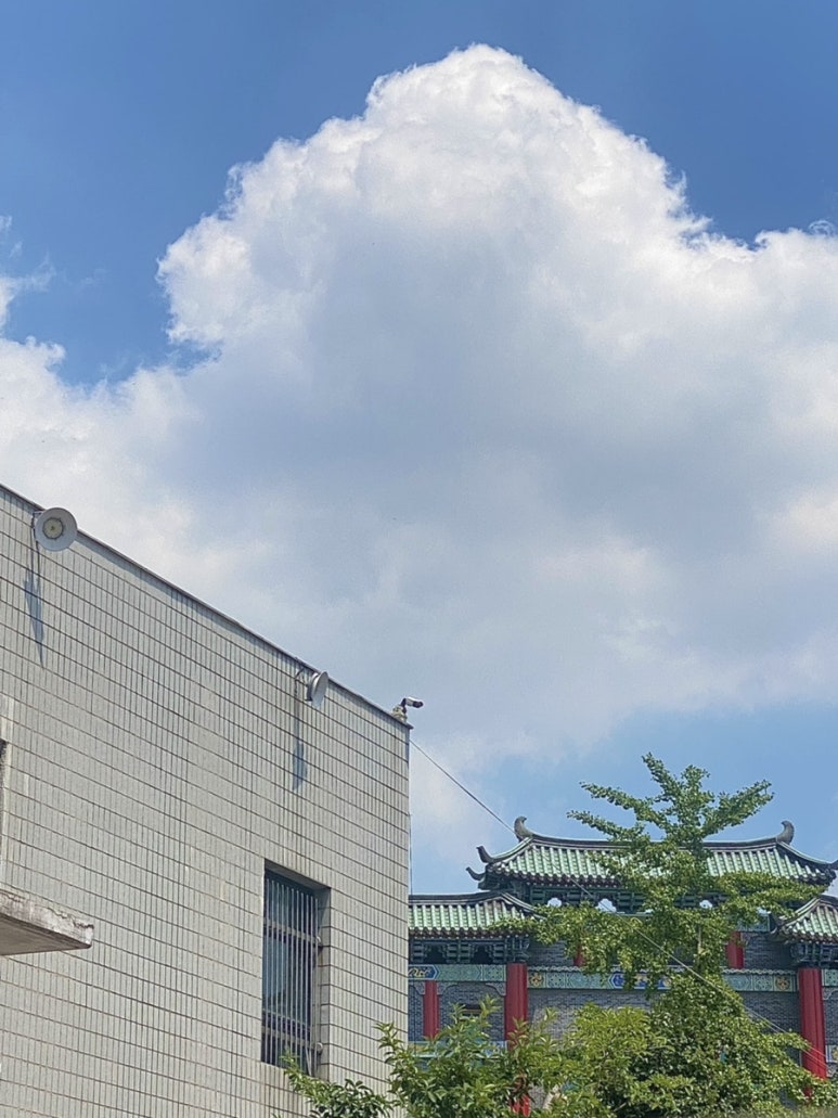 경보반점 이미지