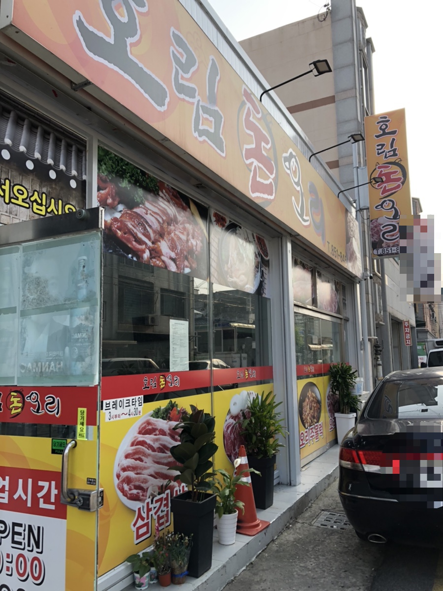 호림돈오리 이미지