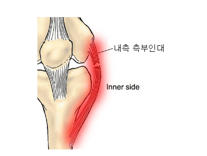 어베인휘트니스 이미지