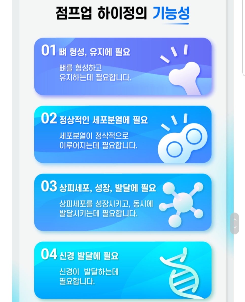 하이정 이미지