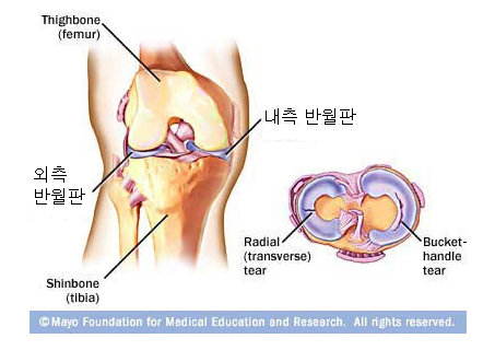 어베인휘트니스 이미지