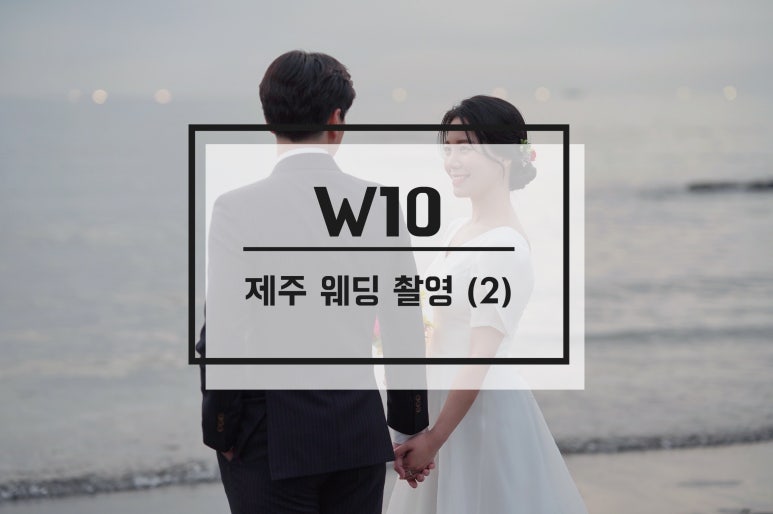 사월애꽃 이미지