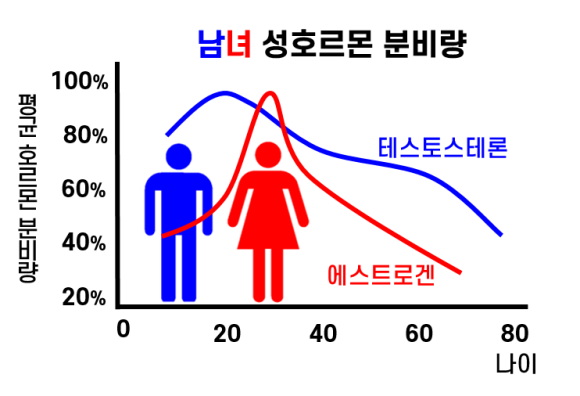 식물정 이미지