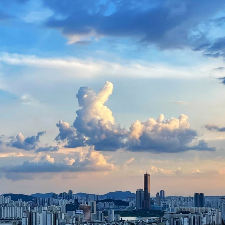 개봉집 이미지