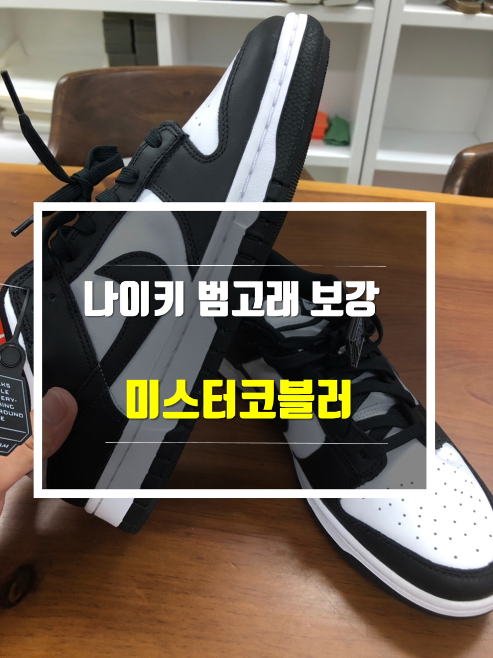 미스터덩크 이미지