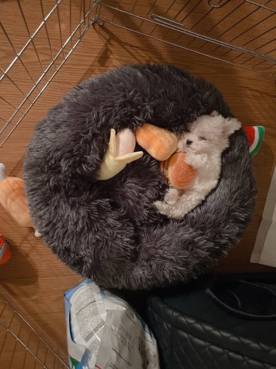 대갈집 이미지