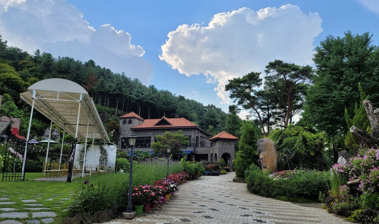 화.수.목(花.水.木 이미지
