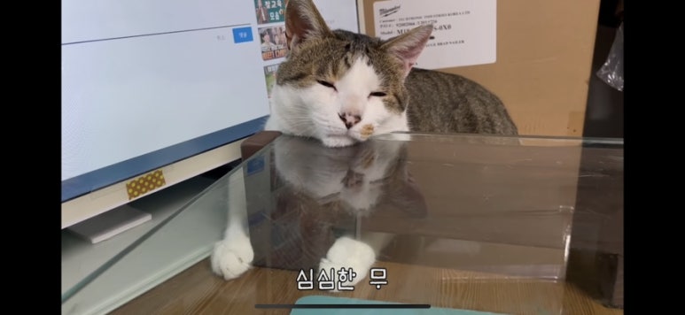 다만나 이미지