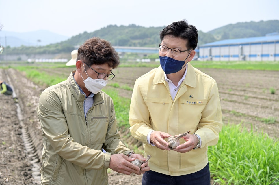공주유통 이미지