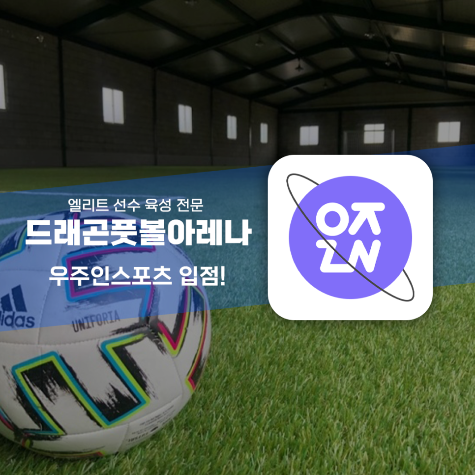 드레곤 스포츠 이미지