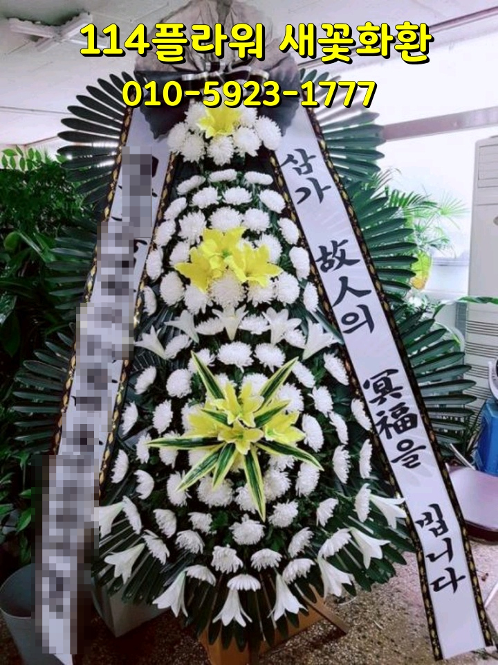 광주정품화환배달 이미지