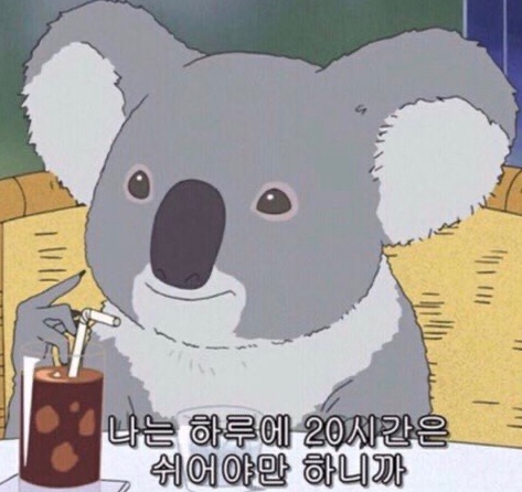 카페블룸 이미지