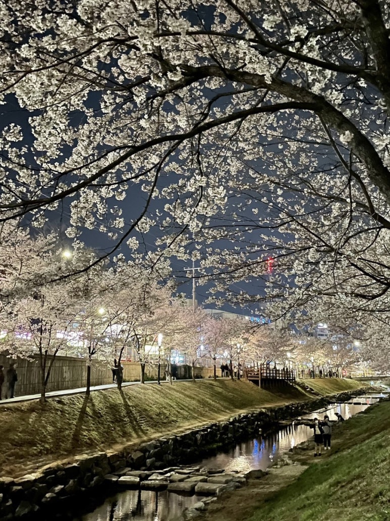 정통집울산대점 이미지