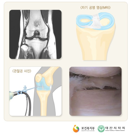 어베인휘트니스 이미지