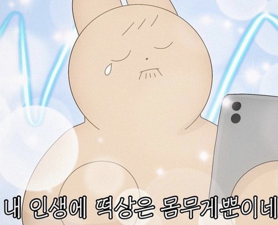 로드김밥 이미지