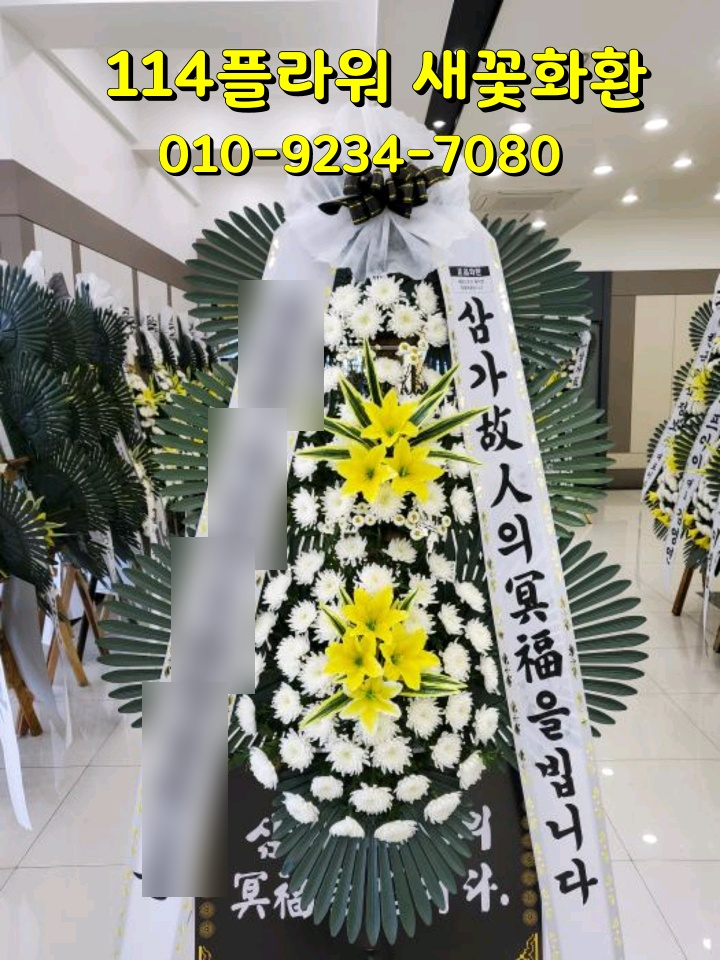 강원꽃화원 이미지