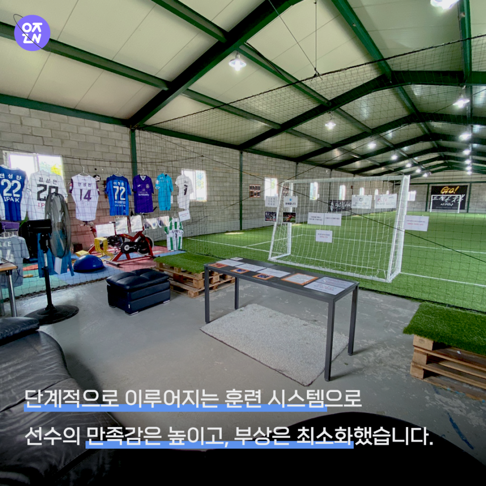 드레곤 스포츠 이미지