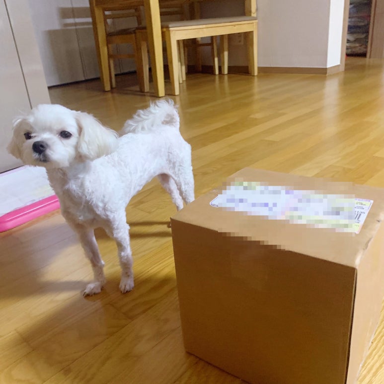 피오에이치 이미지