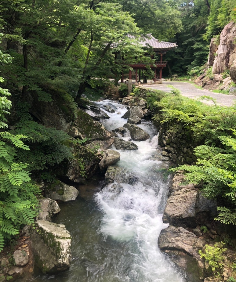 정수건축인력 이미지