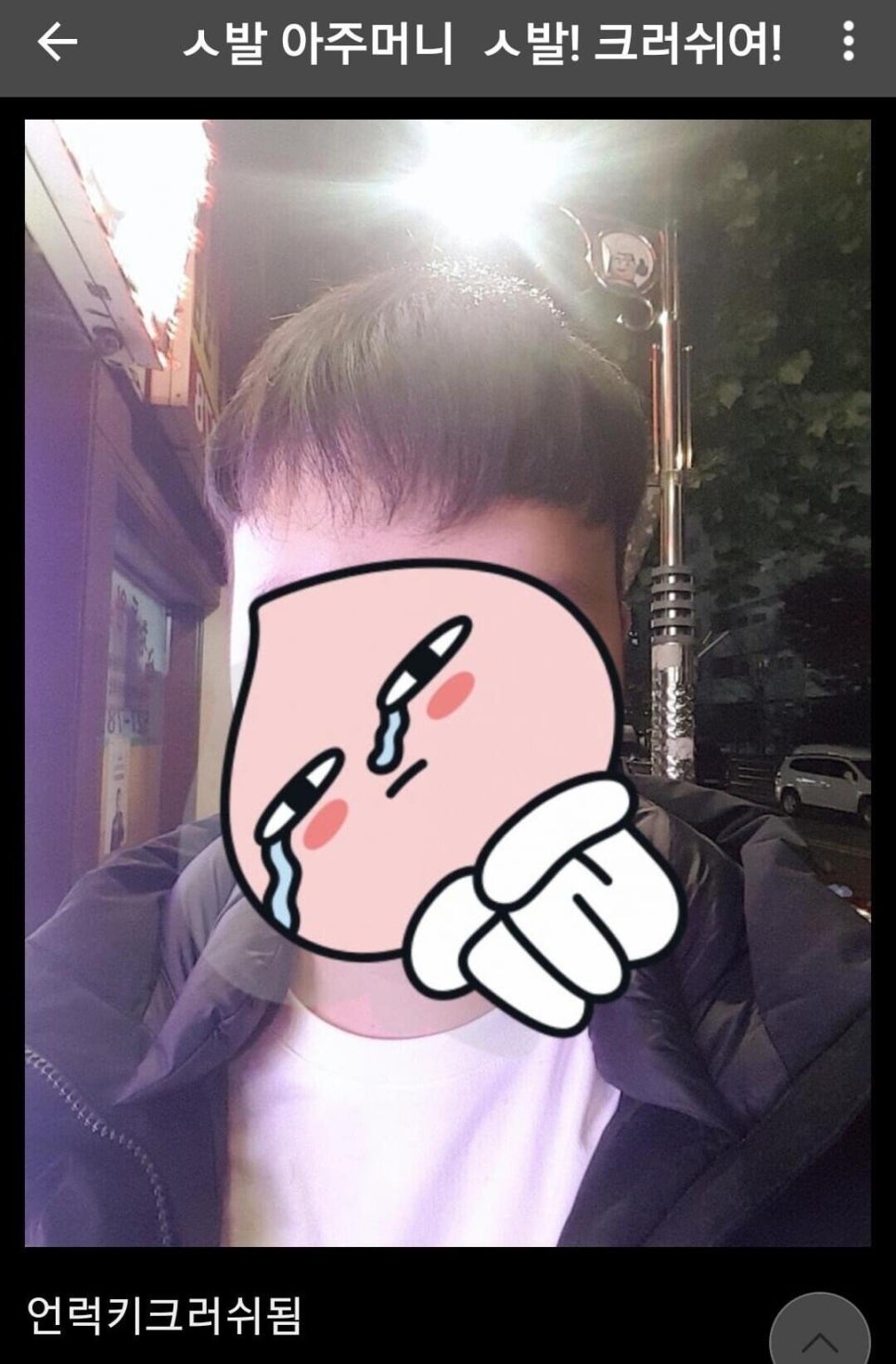 갤러리일상 이미지