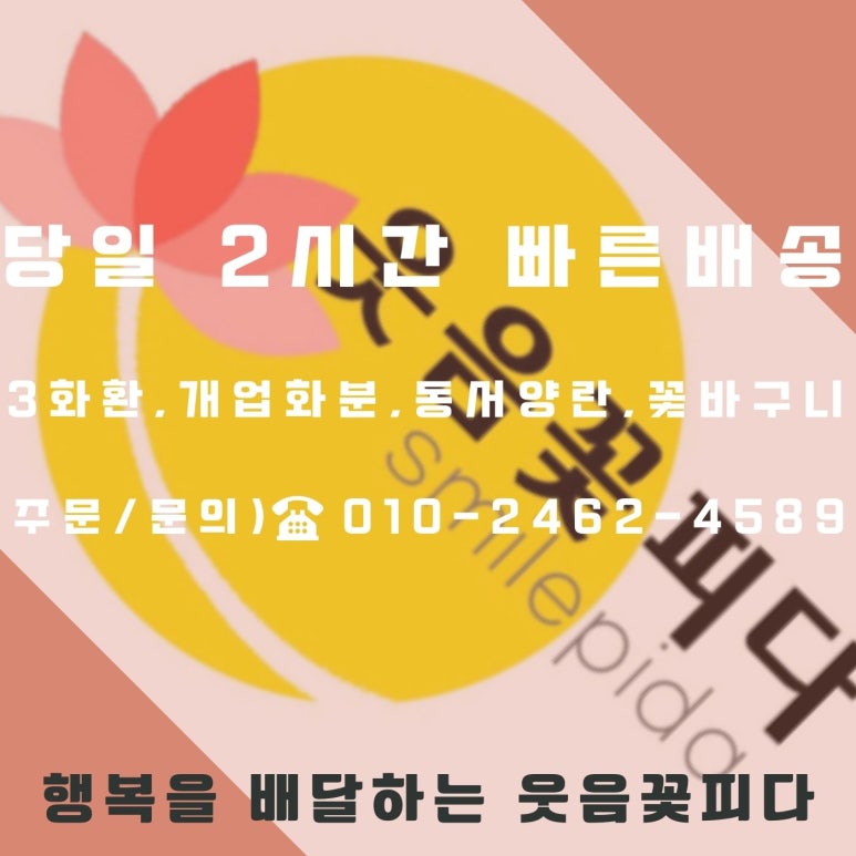 우리꽃배달 이미지