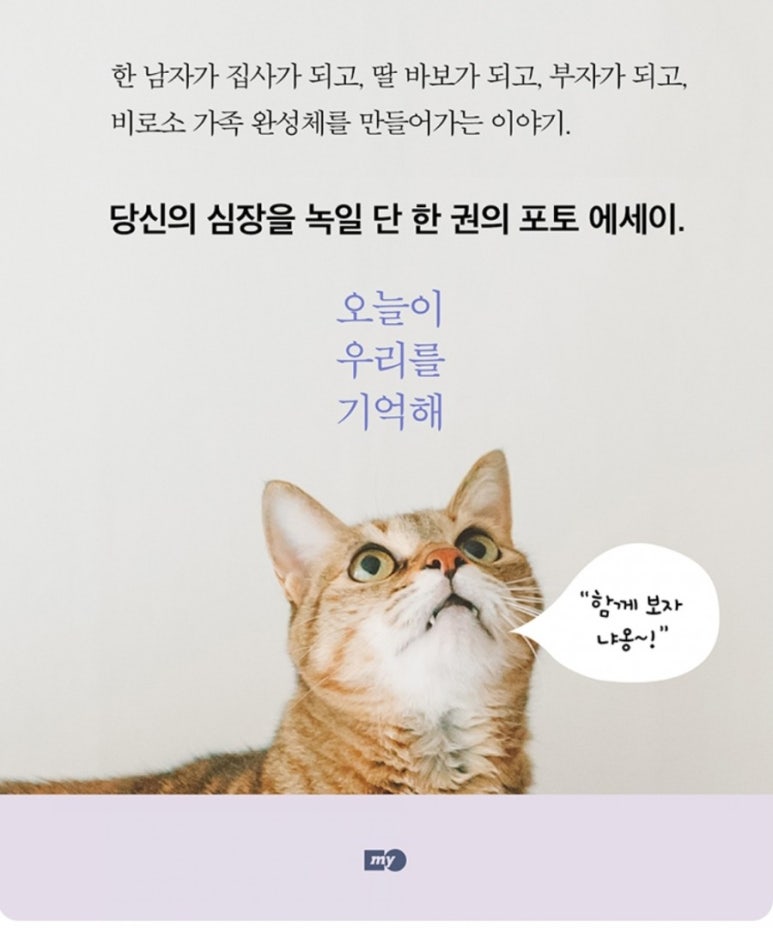 제인해일 이미지